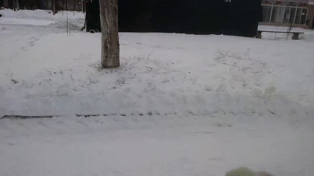 Очень хорошая погода,8.01.17 смотреть онлайн
