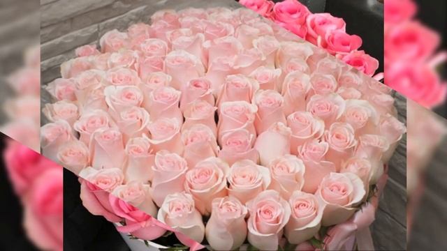 С Днём рождения,Джульетта! смотреть онлайн