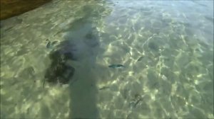 Таиланд. Пляж острова Ко куд. Обзор отеля - koh kood resort 3*