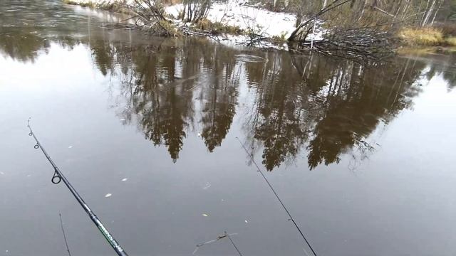 РЫБАЛКА ХАЛЯВНАЯ))) КОНЕЦ ЖИДКОЙ ВОДЕ! ПОСЛЕДНИЙ ЩУЧИЙ ЖОР, ТАСКАЛИ РЫБУ КАК МОГЛИ И НА ВСЁ ПОДРЯД! смотреть онлайн