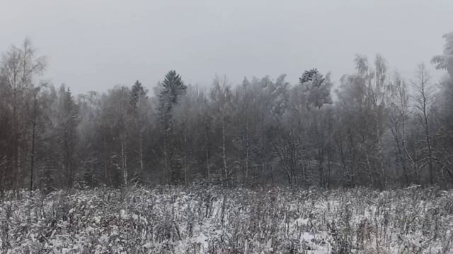 "Татьянин день". Кавер под гитару смотреть онлайн