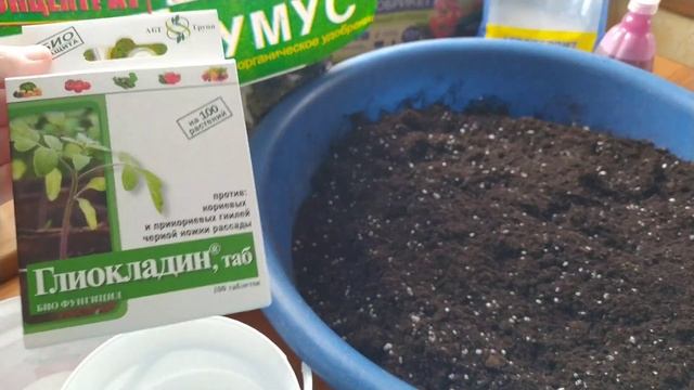 Как УЛУЧШИТЬ покупной грунт для первой рассады/How to improve purchased soil смотреть онлайн