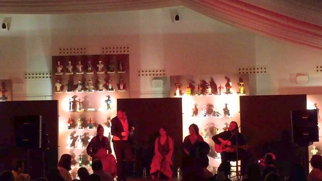 ESPECTACULO "JEREZ FLAMENCO" смотреть онлайн