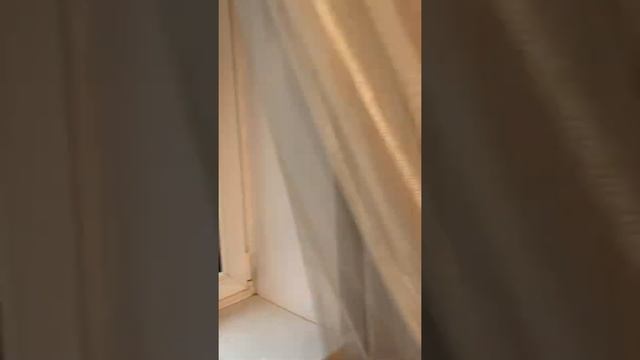 Аренда 1 км кв на длительный срок смотреть онлайн