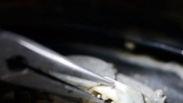 BMW e34 1994 530i possible solution to a loose wiring harness fuel pump connection смотреть онлайн