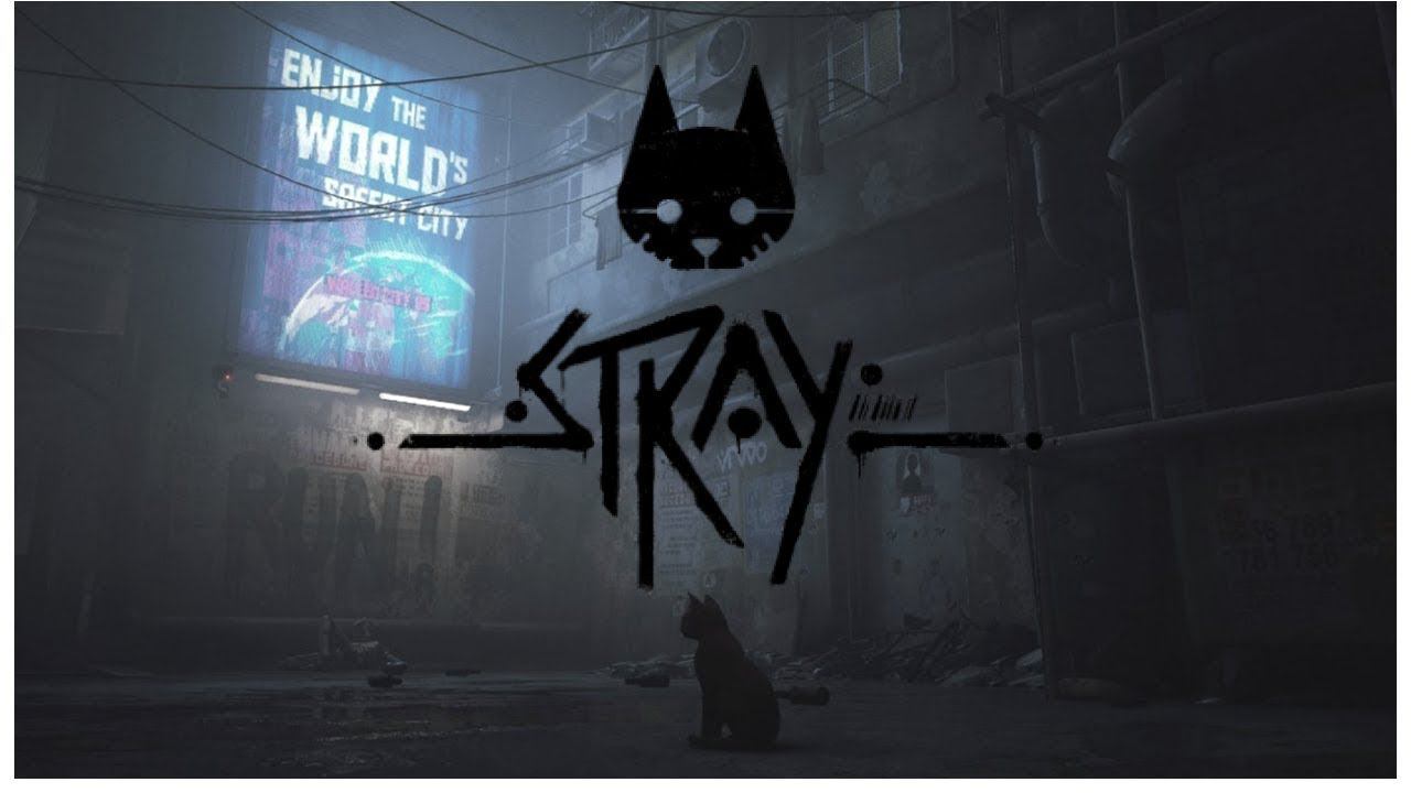 Stray #2 Знакомство с Б 12 смотреть онлайн