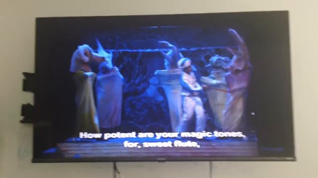 the magic flute смотреть онлайн