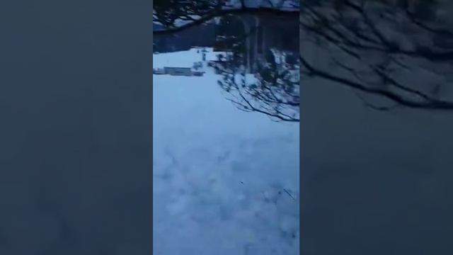 Путешествие в поместье красноярской элиты