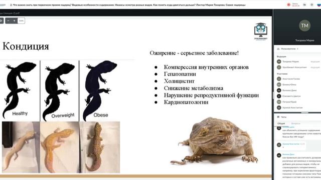 Вебинар "Что важно знать при первичном приеме ящериц", лектор Мария Токарева смотреть онлайн