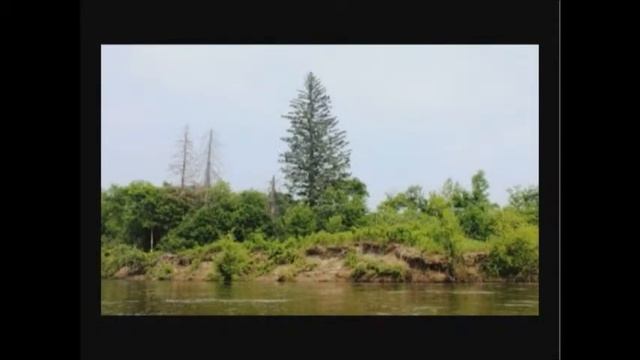 с днем рождения брат(Happy Birthday, brother!!!) смотреть онлайн