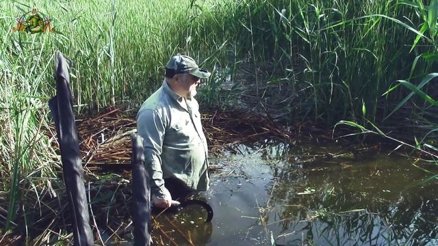 ЗАЧИСТКА ВЫХОДА на БЕРЕГ. ( Заболачивание водоёма ) смотреть онлайн