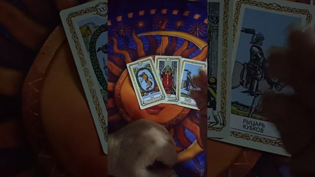 ✨🗝🔥🔥🔥ЭТО ИНТЕРЕСНО 🗝ЧТО ВЫСШИЕ СИЛЫ🌈 ПРИГОТОВИЛИ ВАМ В НОВОМ ГОДУ 🎁🗝🥂🎂 смотреть онлайн