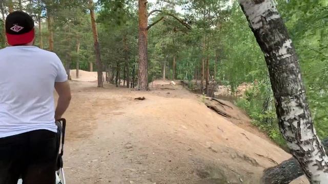 Что нового в парке Гагарина в Челябинске в 2020 году. Встретили 7 лабрадоров смотреть онлайн