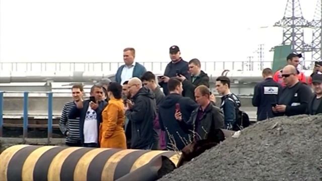 Самые невероятные случаи появления диких животных в городе. Животные приходят в гости смотреть онлайн