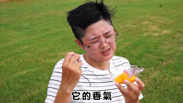 【內有抽獎】全台最貴的芒果居然最難吃！？台灣芒果爭霸戰，快來看我得罪廠商 смотреть онлайн