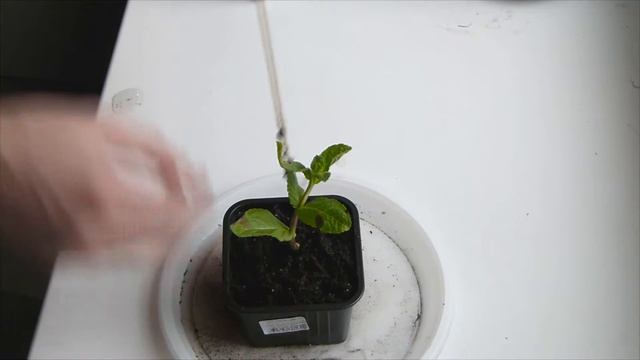 Строительные Совпадения