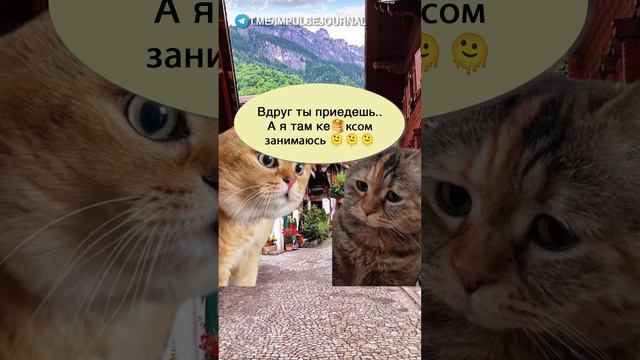 Ключи от рая #мыкотики #вмем #разговор #анекдот #шутки #кот #юмор #смешное #прикольно #мемы #cat смотреть онлайн