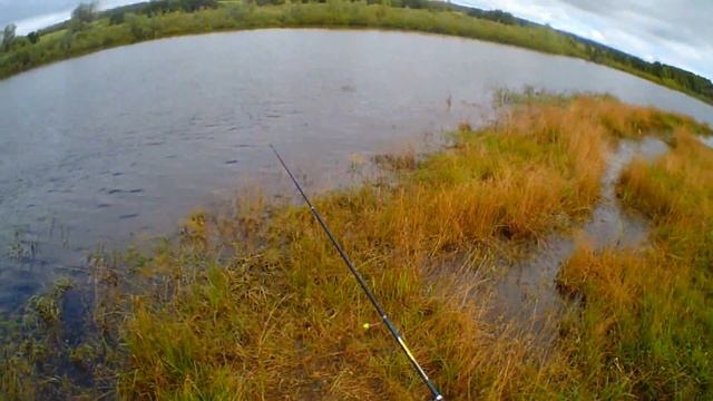 Ловля на кукурузу.Карп,карась. смотреть онлайн