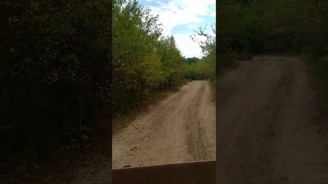 вьезд в лес на т16 смотреть онлайн