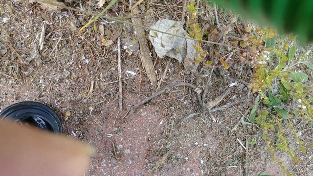 Pierwszy rozruch kosy Stihl FS-490 po zimowej przerwie смотреть онлайн