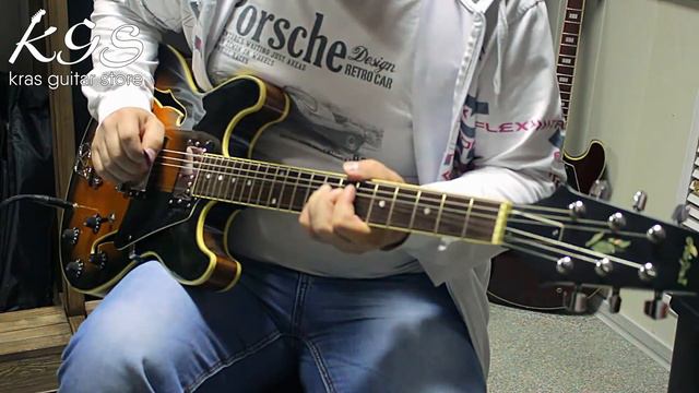 Aria Pro 2 Titan Artist TA I смотреть онлайн