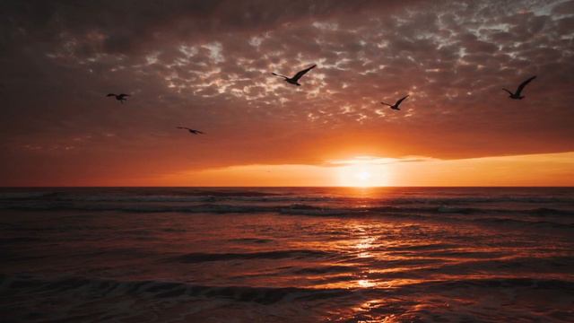 Каспий теңізі туралы мәлімет