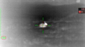 охота с тепловизором на зайца! brpclub.ru