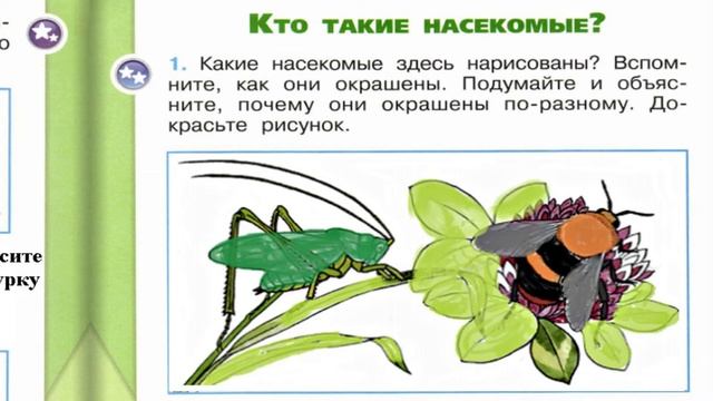 Окружающий мир. Рабочая тетрадь 1 класс 1 часть. ГДЗ стр. 20 №1 смотреть онлайн