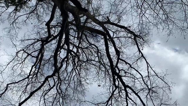 Spring Kayak - Dagger смотреть онлайн