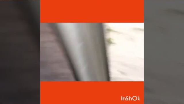 Scorpio.Устройство для считывания ошибок Форд Скорпио