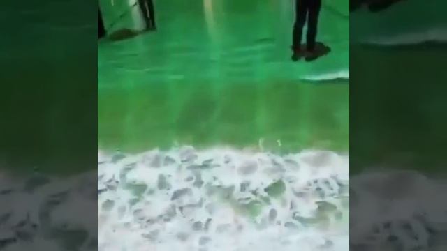 Полы, рыбный рынок, Дубай смотреть онлайн