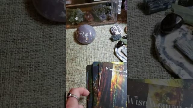 Denise Linn Sacred Forest Oracle walk through and review! ? смотреть онлайн