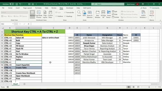 Excel Shortcut Keys | CTRL + A To CTRL + Z | Excel Life - Amit Kumar смотреть онлайн