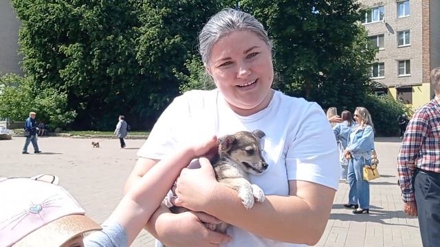 Ещё один хвостик обрёл семью на выставке животных смотреть онлайн