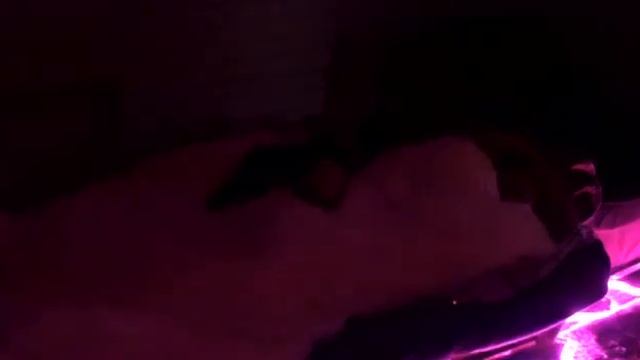 ПУКАЮ ВО СНЕ ПРАНК! ЖЕСТОКИЙ ПРАНК НАД ПАРНЕМ! смотреть онлайн