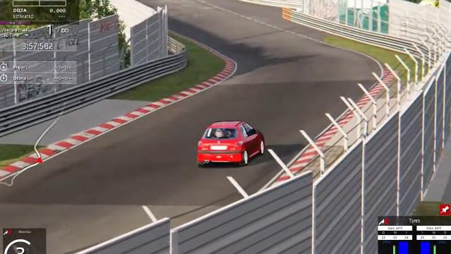 Assetto Corsa I Nordschleife Tourist - Peugeot 206 RC
