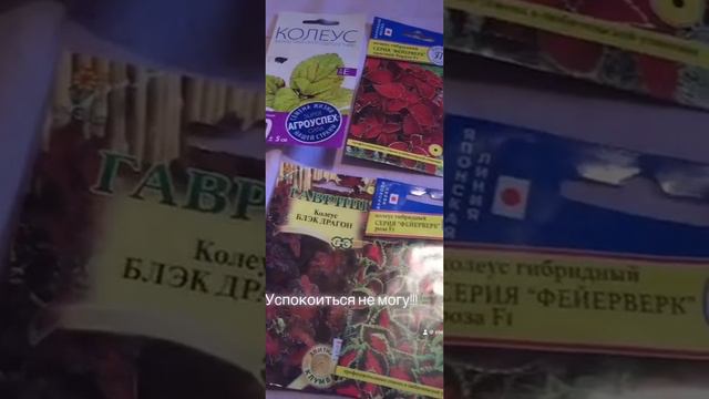 Лучшие сорта Колеус смотреть онлайн