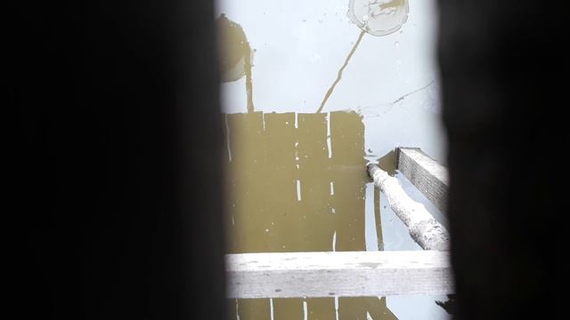 Контрольный облов. До какого веса вырос карп в пруду смотреть онлайн