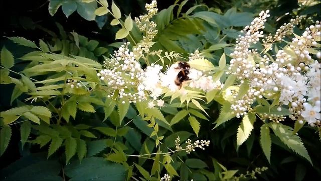 Аномальная жара. Вязать совсем не хочется. смотреть онлайн