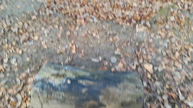 Проверка толщины льда пеньком. смотреть онлайн