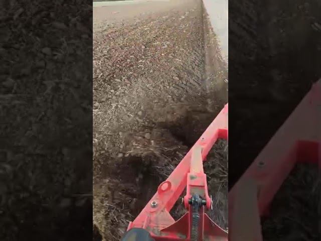 Плуг ПС- 3/35 пашет в Ставропольском крае! #ипсергиенко #мтз #пахота #farming #плугкропоткин смотреть онлайн