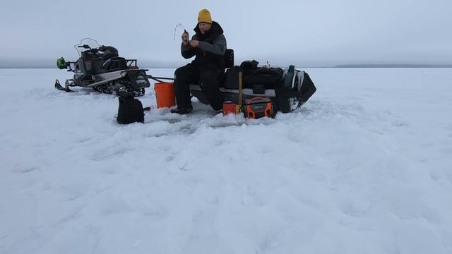 Crappie Location & Lure Secrets for Mid Winter Ice Fishing – Fish Ed смотреть онлайн