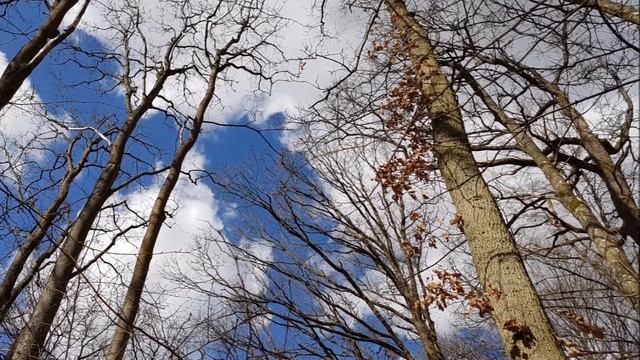 [0135]? Благодарю смотреть онлайн