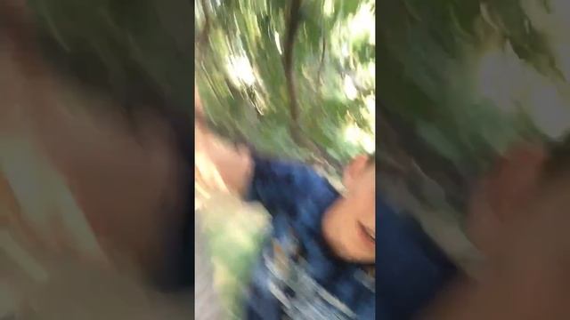 Как добыть еду в диком лесу смотреть онлайн