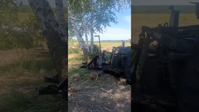 Корчевание березы диаметром 40 см