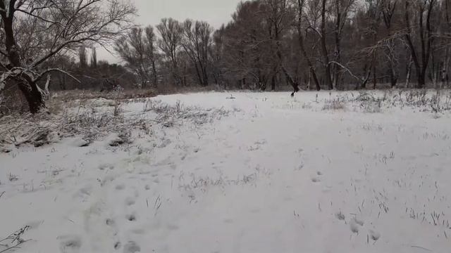 рыбалка.спининг на зимнем Осколе смотреть онлайн