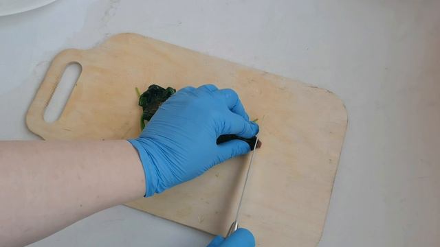 Ботвинья для Пушкиных 🥣❤️🥣