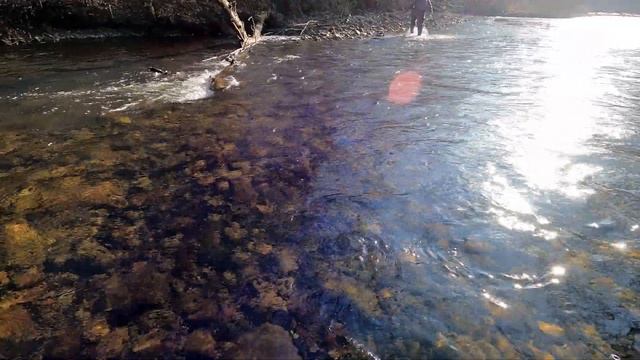 Рыбалка на горных ручьях в районе п. Солонцовый смотреть онлайн