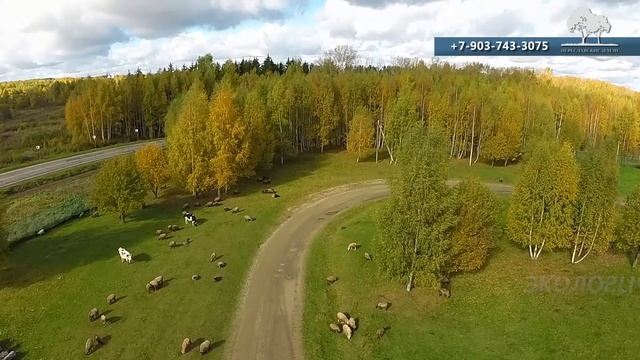 Съемка поселков в Переславле-Залесском. смотреть онлайн