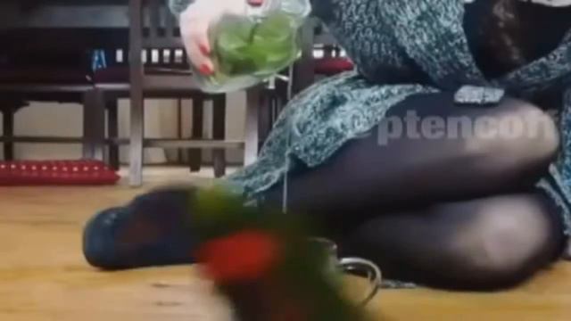 Смеёмся вместе Часть 1 смотреть онлайн